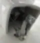 시흥 입주 청소 집안 곳곳 다 해주나요 범위 쉬는 날 19