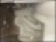 클린맵 직원은 외국인 나이까지 솔직히 알려드립니다 15
