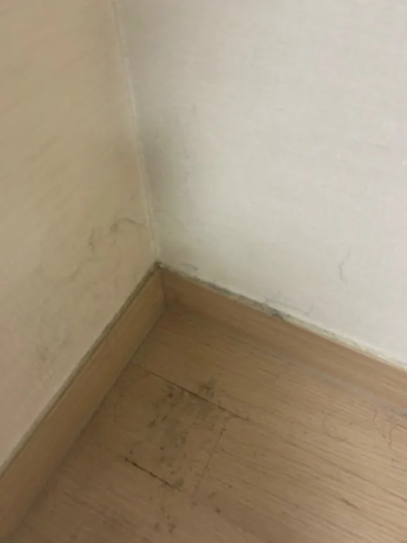대화동 입주청소 업체 선택 노하우까지 모두 풉니다 33