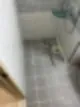 이사입주청소 7년차 대표가 비용 선택 TIP까지 모두 풉니다 45