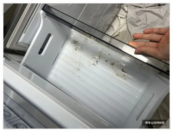 냉장고 내부 청소 A to Z까지 대표가 직접 설명드립니다 7