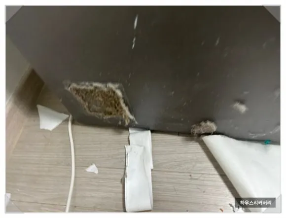 냉장고 내부 청소 A to Z까지 대표가 직접 설명드립니다 15