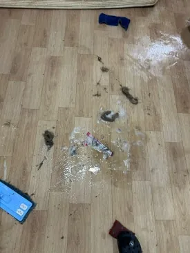 성북구 입주청소 180도 바꿔놓았습니다 69