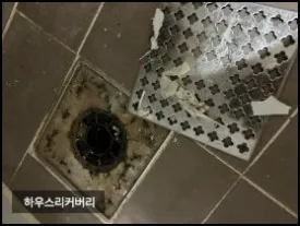 부천이사청소 미친 자신감을 가진 이유 20
