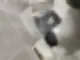 용인이사청소 잘하는 곳은 OO을 봐야 합니다 81