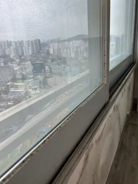 안산이사청소 곰팡이 제거까지 끝마친 현장 3