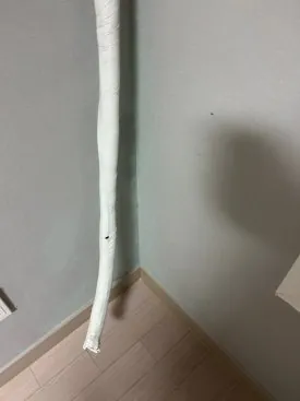 안산이사청소 곰팡이 제거까지 끝마친 현장 15