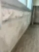 안산이사청소 곰팡이 제거까지 끝마친 현장 38