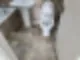 안산이사청소 곰팡이 제거까지 끝마친 현장 61