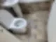 안산이사청소 곰팡이 제거까지 끝마친 현장 63