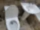 안산이사청소 곰팡이 제거까지 끝마친 현장 64