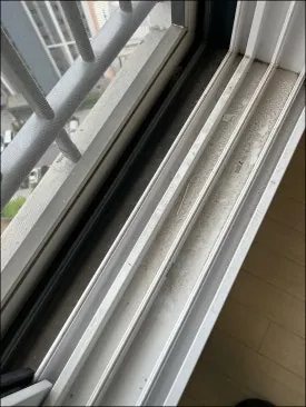 이사입주청소 이 글로 종결하세요 10