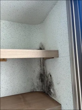 이사입주청소 이 글로 종결하세요 12