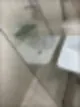 동대문구 입주청소 미친 자신감을 가진 이유 38