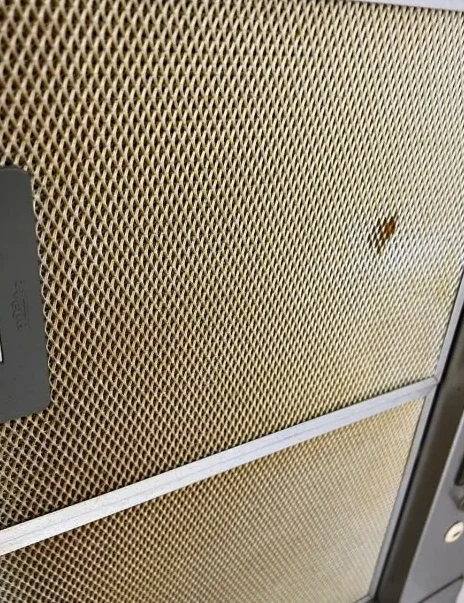 안양 이사청소, 공간을 완전히 되살린 실제 시공 사례