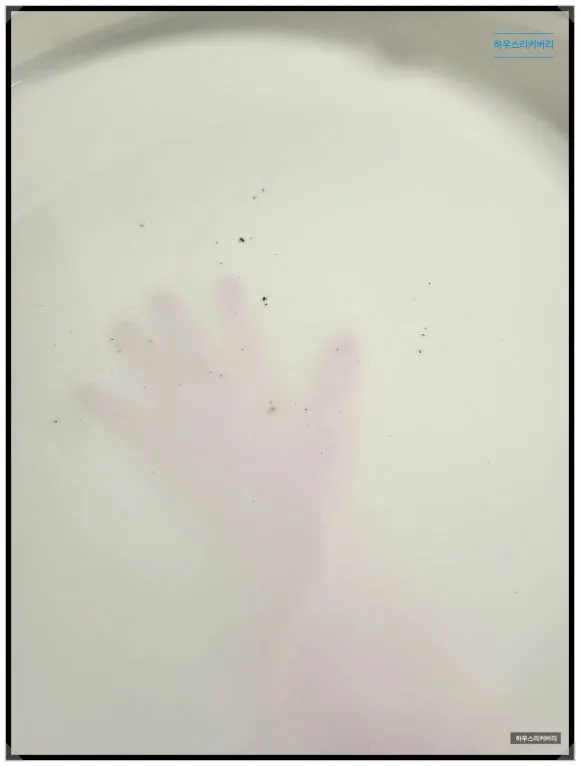 동작구 입주청소 검증된 곳은 어떻게 하나요 22