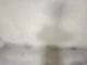 일산이사청소 곰팡이가 꼼꼼하게 없앤 현장 33