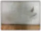 거주청소업체 확인해야 할 단 1가지 42