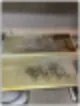 거주청소업체 확인해야 할 단 1가지 48