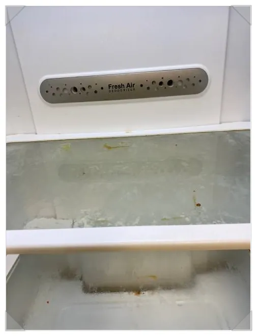 냉장고 청소방법 이 글만 따라 해보세요 11
