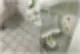 이사청소 가격 이것 모르면 후회합니다 14