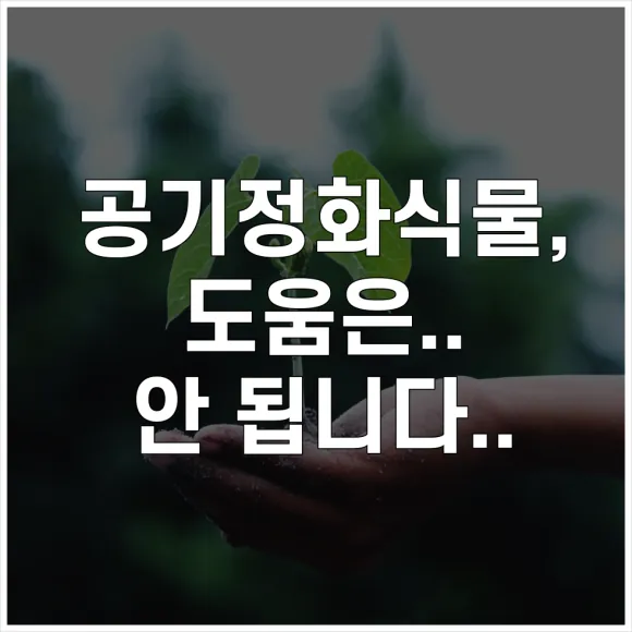 새집증후군 식물로 해결된다는 말, 사실일까요?