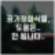 새집증후군 식물 도움 안 됩니다 3